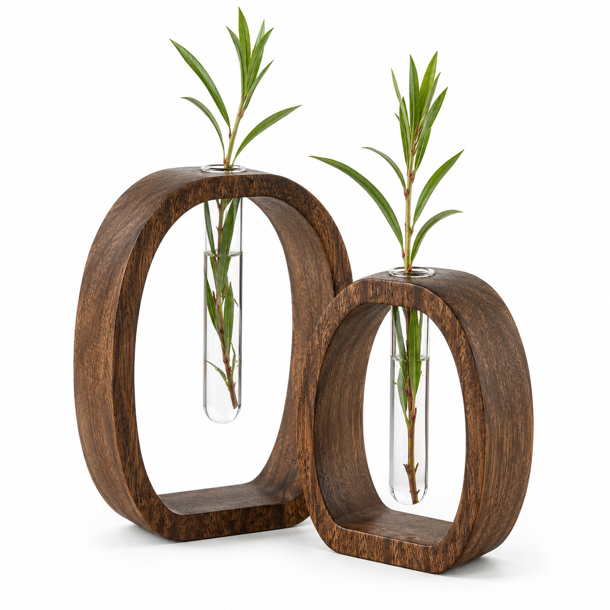 Walnut Wood Glass Hydroponic Vase Set for Home Decor